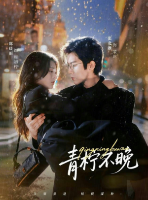青柠不晚（78集）