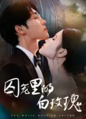 囚笼里的白玫瑰（59集）