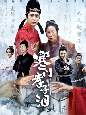 寒门孝子泪（31集）