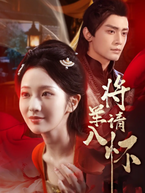 将军请入怀（55集）