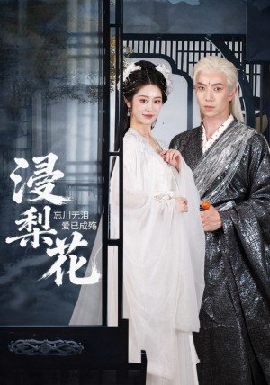 浸梨花（50集）