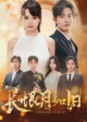 长恨月如旧（55集）