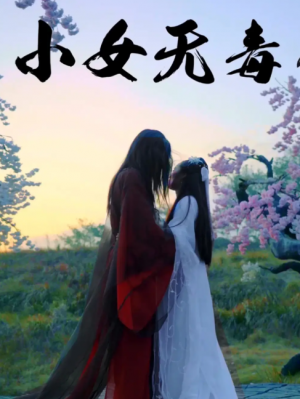 小女无毒（14集）