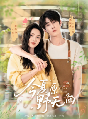今夏原野无雨（70集）