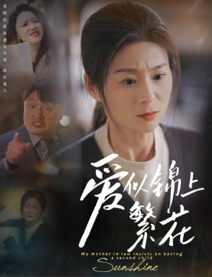 爱似锦上繁花（60集）