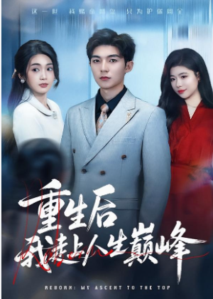 重生后我走上人生巅峰（80集）