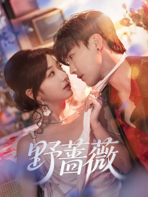 野蔷薇（60集）