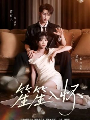 笙笙入怀（108集）