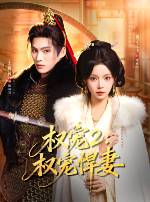 权宠2权宠悍妻＆权宠2权宠悍妻（81集）