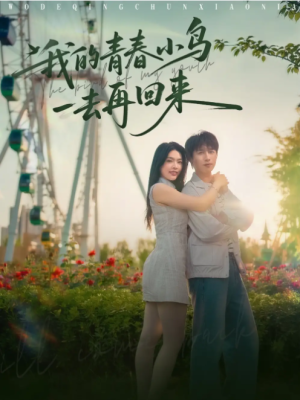 我的青春小鸟一去再回来(95集)
