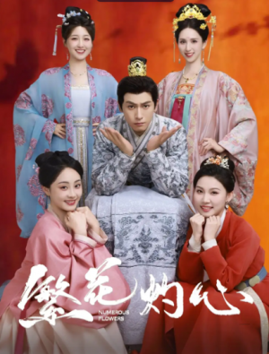 繁花灼心（80集）