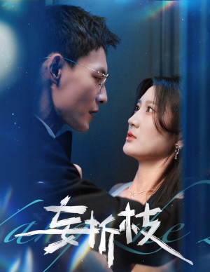 妄折枝 未删减版（53集）