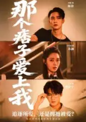 那个痞子爱上我（50集）