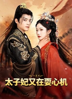 太子妃又在耍心机（人家才不是坏女人）（80集）