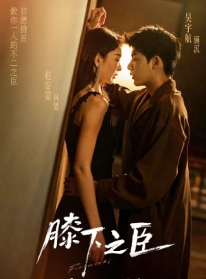 膝下之臣（56集）