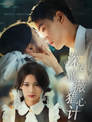 深宅蔷薇猎心计（66集）