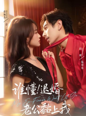 谁懂退婚老公黏上我（64集）