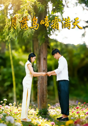 月落乌啼霜满天（40集）