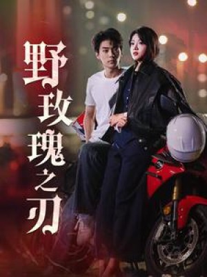 野玫瑰之刃（96集）