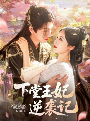 下堂王妃逆袭记（77集）