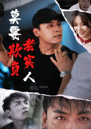 莫要欺负老实人（45集）