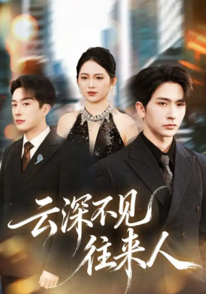 云深不见往来人（78集）