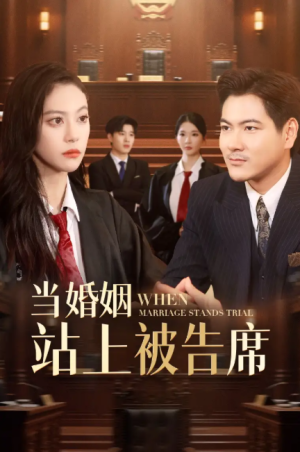 当婚姻站上被告席（30集）