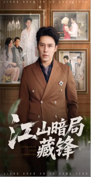 江山暗局藏锋（48集）