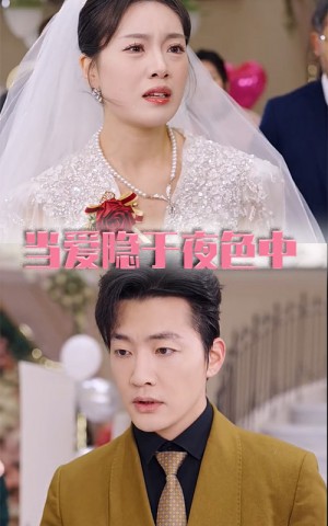 当爱隐于夜色中（37集）