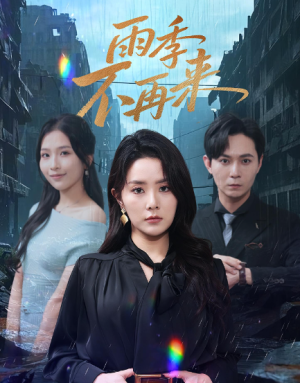 雨季不再来（65集）