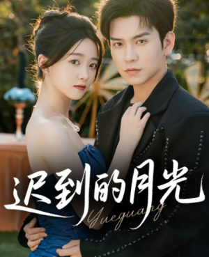 迟到的月光（80集）