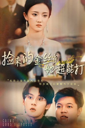 捡来的金丝雀她超能打&和小娇夫领证后夫人她不装了（65级）