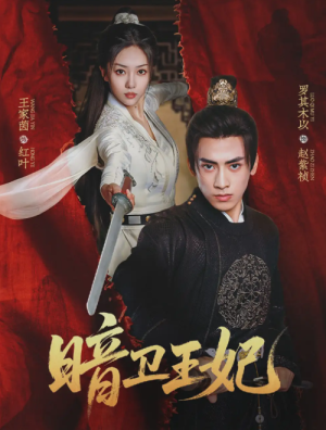 暗卫王妃（60集）