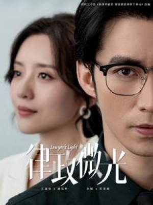 律政微光（100集）