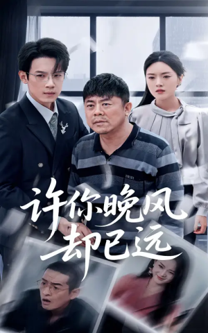 许你晚风却已远（50集）