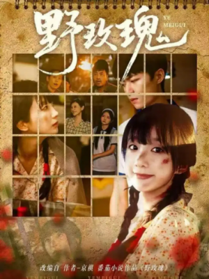 野玫瑰（82集）