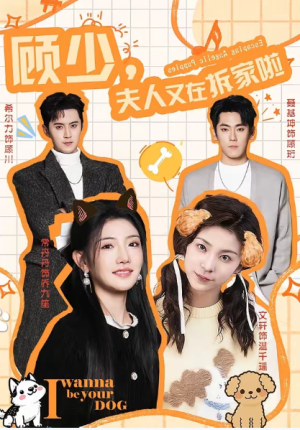 顾少夫人又在拆家啦（78集）