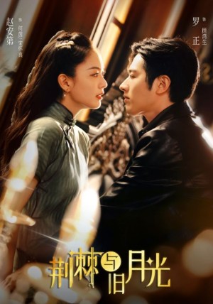 荆棘与旧月光（80集）