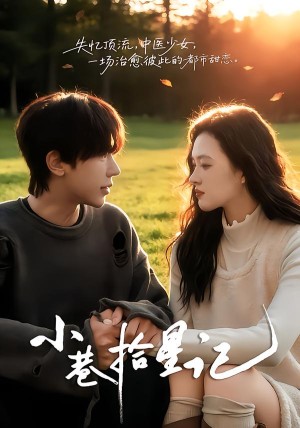 小巷拾星记（65集）