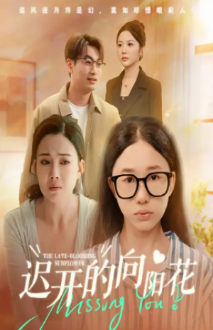 迟开的向阳花（60集）