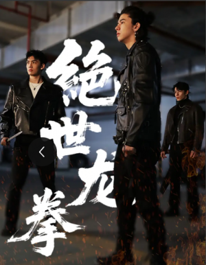 绝世龙拳（32集）