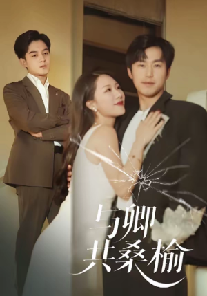 与卿共桑榆（63集）