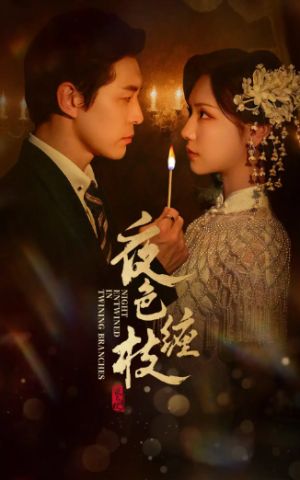 夜色缠枝（60集）