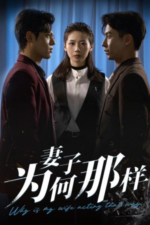 妻子为何那样（60集）