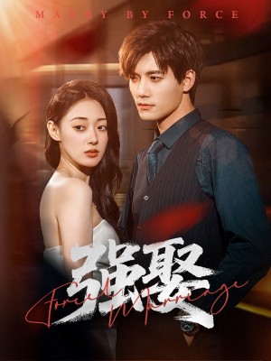 强娶（80集）