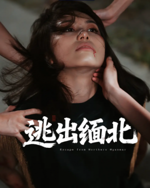 逃出缅北（62集）