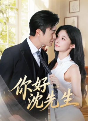 你好沈先生（52集）