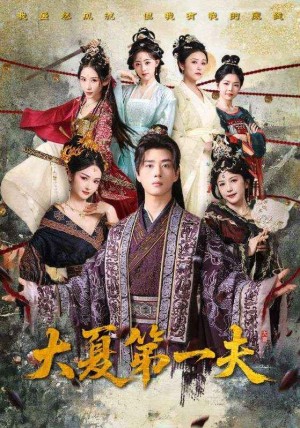 大夏第一夫（90集）