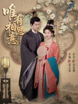 唯有相思意（100集）