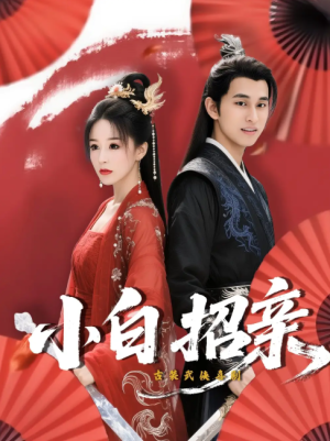 小白招亲 (78集) 